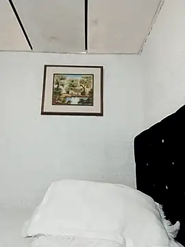 ElizabethWeil webcam