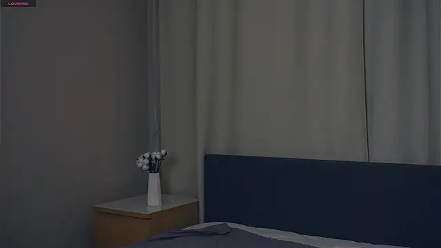 PatricePerlow webcam