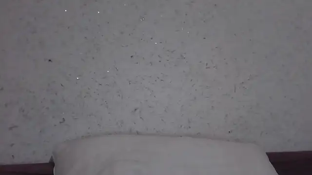 fox_red_lady7 webcam