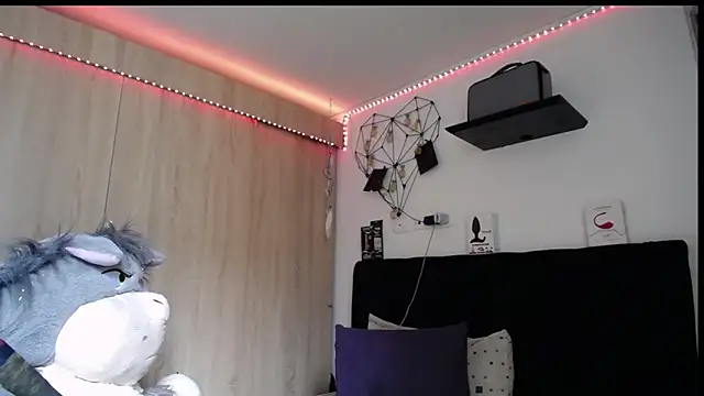 Santiago_kiler webcam