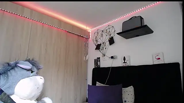 Santiago_kiler webcam