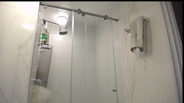 Santiago_kiler webcam