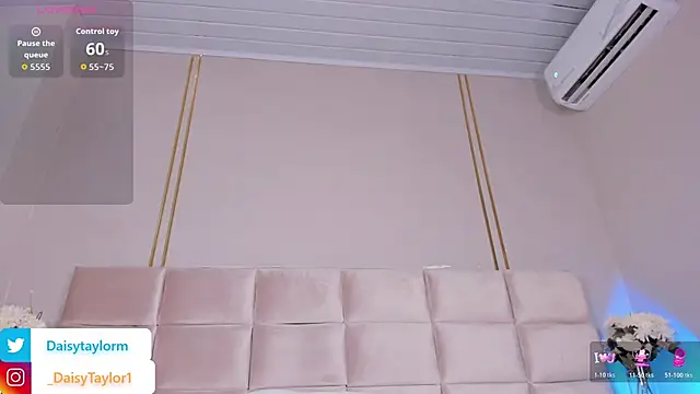 DaisyTaylor__ webcam