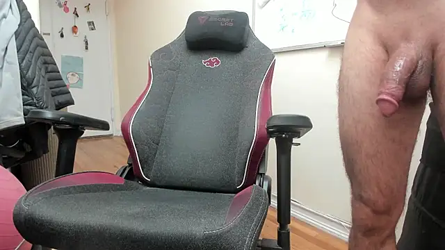 bear_russian_hunk webcam