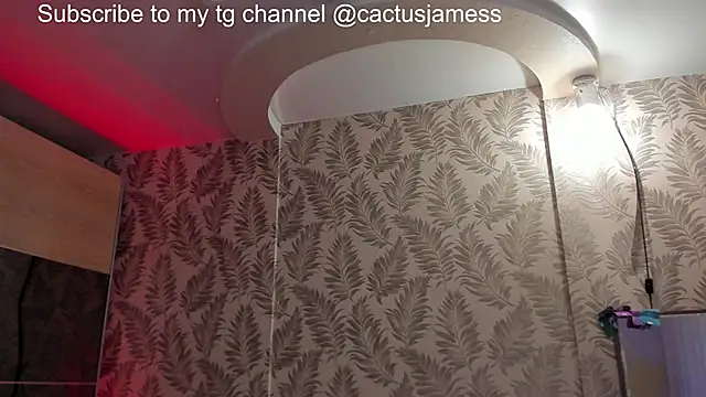 Cactus__James webcam