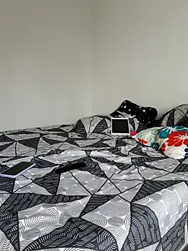 LEIRIS_Y_FRED_01 webcam