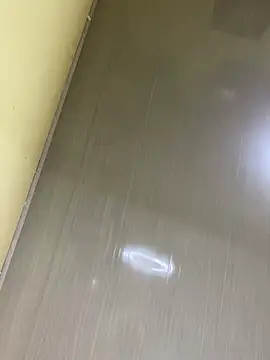 Shayla--broos webcam