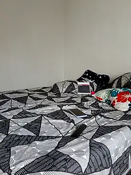 LEIRIS_Y_FRED_01 webcam