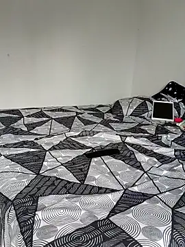 LEIRIS_Y_FRED_01 webcam