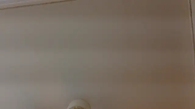 koreanboy2341 webcam