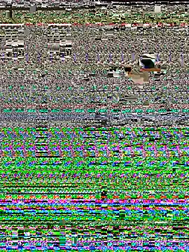 JackHammer2026 webcam