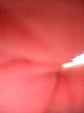 SOLTEIRASIGILO webcam