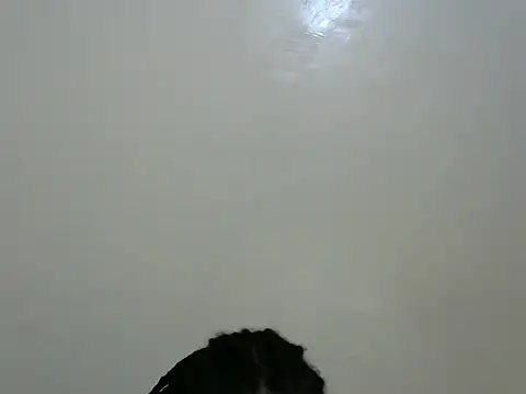 Rasta_tattooed webcam