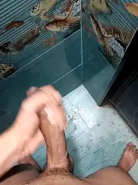 FloweredShallow webcam