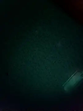 Winterslender webcam