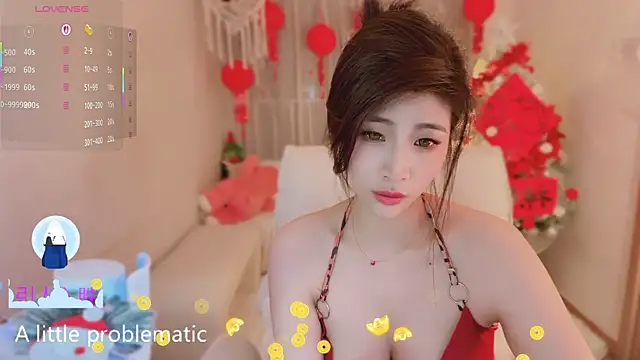 Vaidurya-Yolo webcam