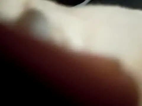 prty2thepoint webcam