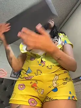 SALOME_KORLAND webcam