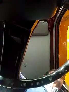 TattyFoxglove webcam