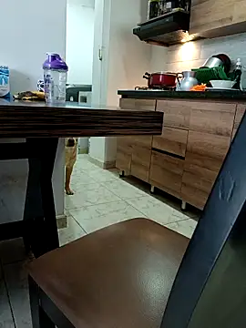 LEIRIS_Y_FRED_01 webcam