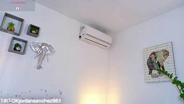 JordanSmiith_ webcam