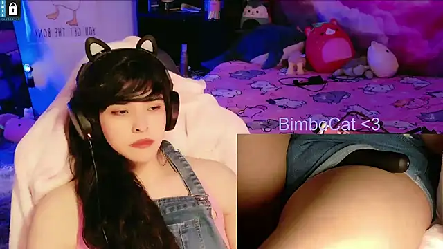 BimboCat webcam
