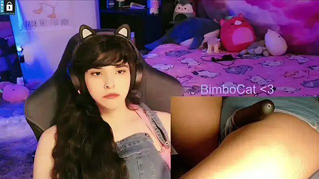 BimboCat webcam