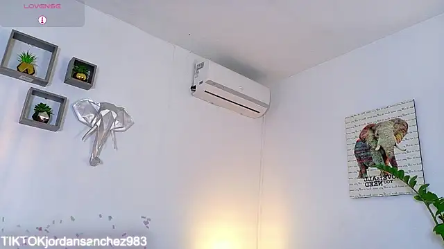 JordanSmiith_ webcam