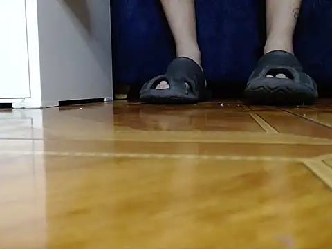 alphaswitchard webcam