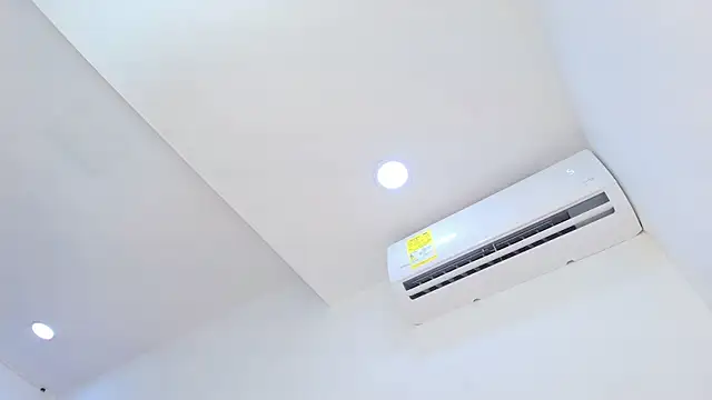 victoriavelasquez_ webcam