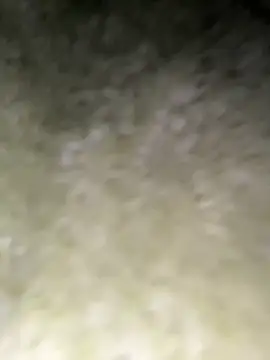 美女lele-520在线直播