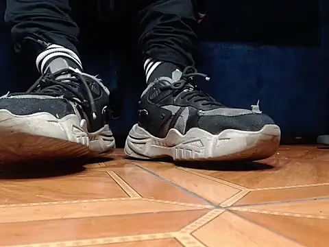 alphaswitchard webcam