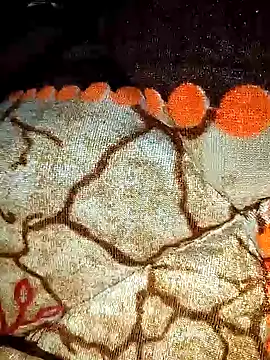 Raj-rajendri__sexy24 webcam