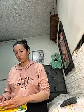 SALOME_KORLAND webcam