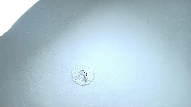 EmilyTaylor_t webcam