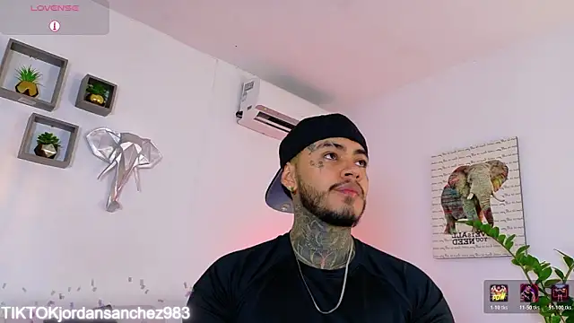 JordanSmiith_ webcam