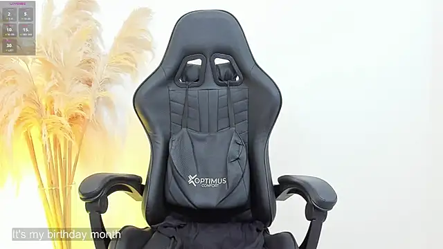 aron-bulgarelli webcam