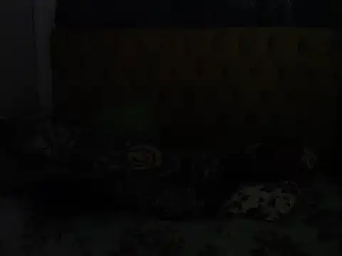 NastyDesireXX webcam