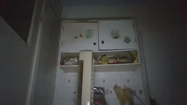 mariusica1@xh webcam