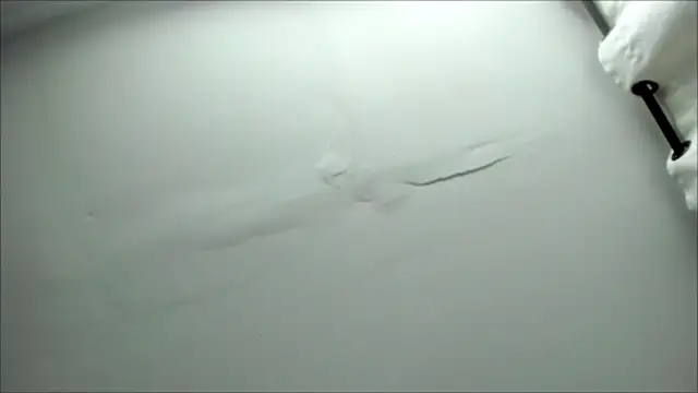 _Kailythompson webcam