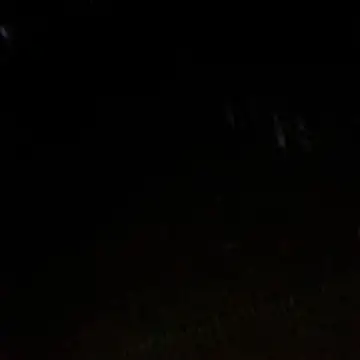 Gifttheskimaskboy webcam