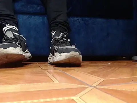 alphaswitchard webcam