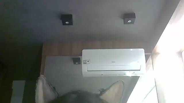 SkinnyKitten webcam