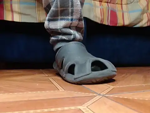 alphaswitchard webcam