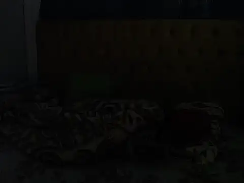 NastyDesireXX webcam