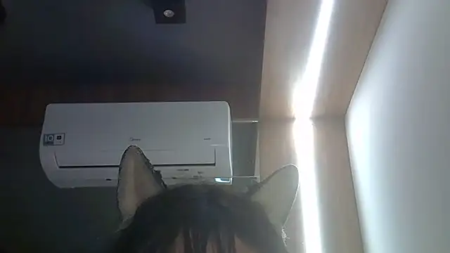 SkinnyKitten webcam