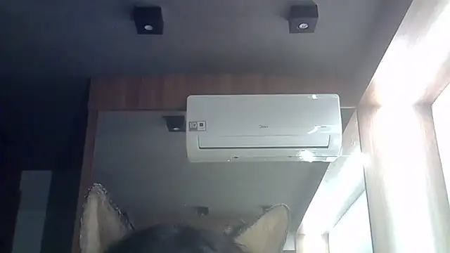 skinnykitten - SkinnyKitten's free webcam - UK Sex Cams