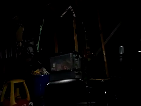 thejuicybacon webcam