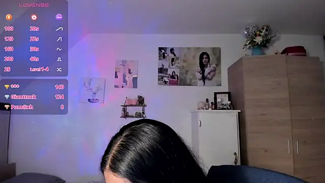 Veronikolsen- webcam