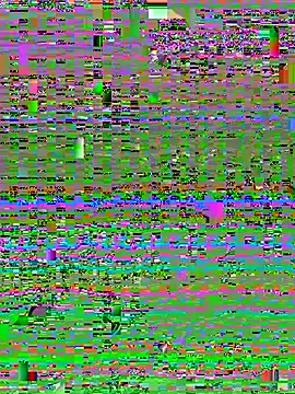 Angelica_pink18 webcam